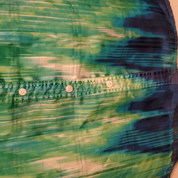 3/$30 Alison Daley Petite Sheer Button Top - Picture 2 of 6